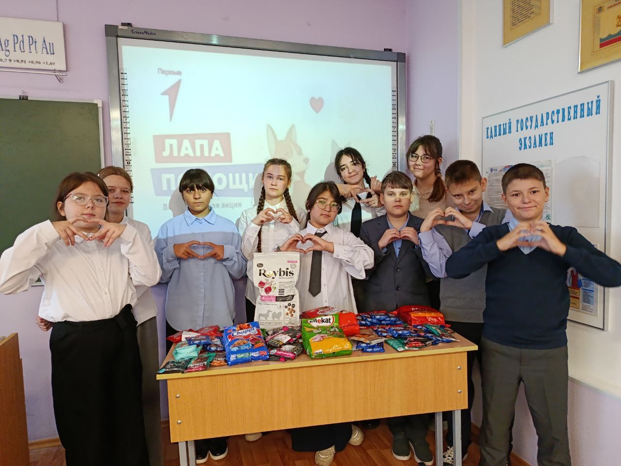 8JpCha1n3Zhc6xiK_i1XdBs4n9tM-XgxpstbFuv7Umd8RqV5xElPI6bVjZhD7rPXqvHuErqi3CHSgNhlivEDN9y9-1