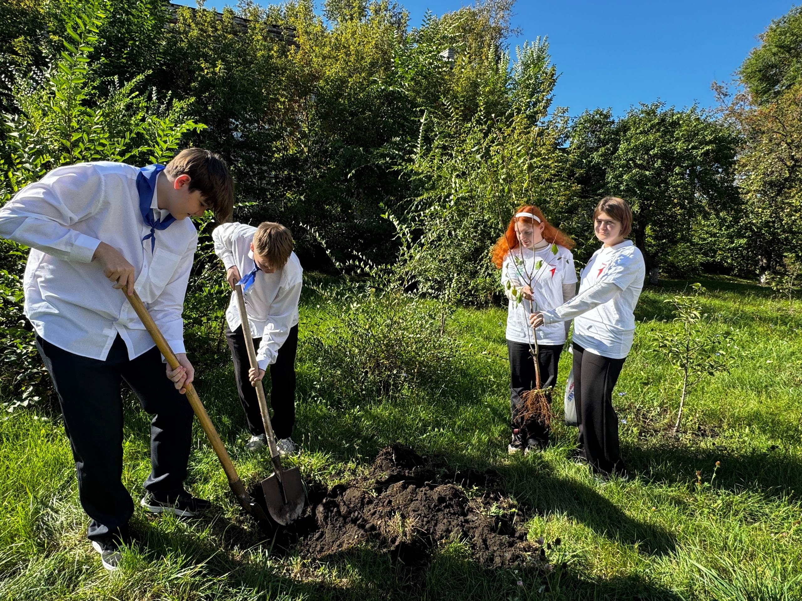 hzSeyXLm6WGzBWfyUeJ1usWh8LmGjWMdVA5UauajzlUGHijH9xYCJTFfKC0csptuedEfo0rcXwN2XXh3GA3n4OAI-1